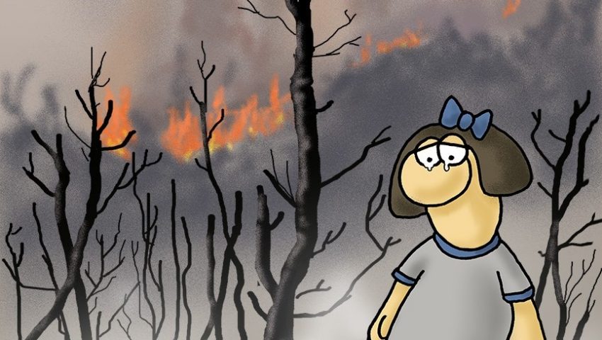 Γροθιά στο στομάχι: Το σκίτσο του Αρκά για τις πυρκαγιές (Pic)