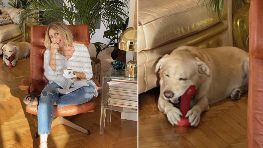 Σμαράγδα Καρύδη | H αριστουργηματική απάντηση για τη φωτογραφία με τον σκύλο της και το υποτιθέμενο ερωτικό βοήθημα (Pic)