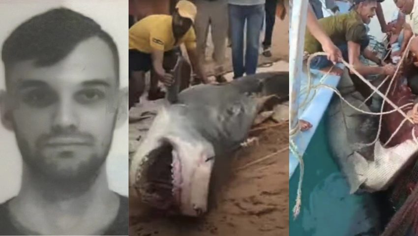 Ανατριχίλα: Αυτά είναι τα μακάβρια ευρήματα από το στομάχι του καρχαρία που κατασπάραξε τον 23χρονο Ρώσο (Vid)